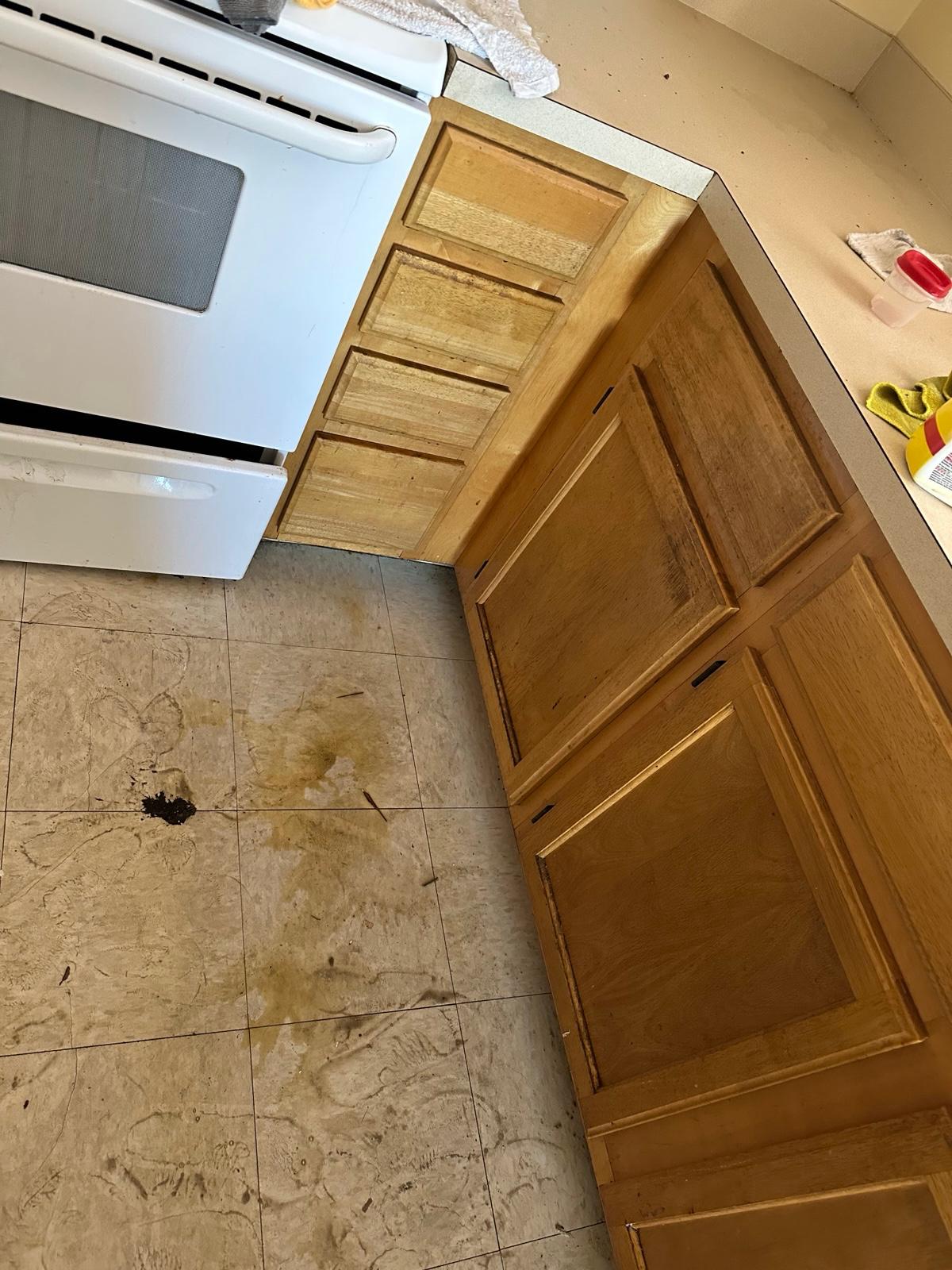 Depois: Cozinha impecável